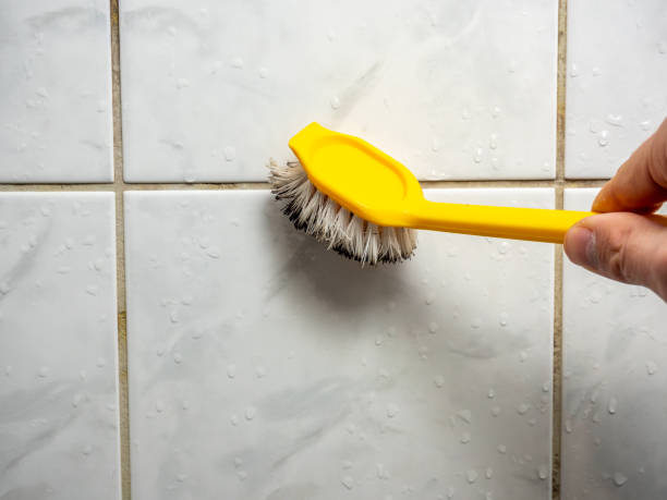 Best DIY Mold Remediation Support Services in Beechwood, MS